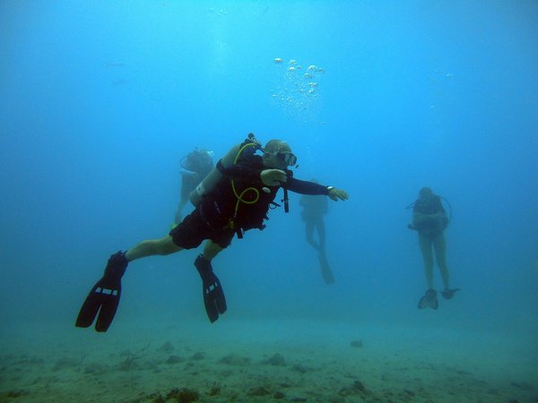 Où trouver les meilleures expériences de plongée au large de l'île de Sipadan en Malaisie?